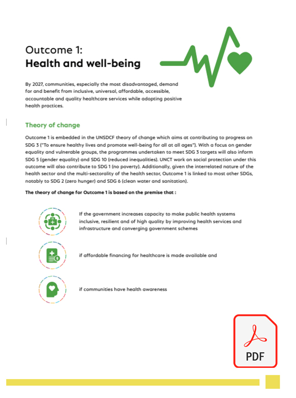 UNITED NATIONS SUSTAINABLE DEVELOPMENT COOPERATION FRAMEWORK (202